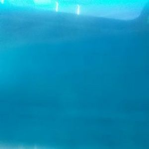 Meet your Posher, Peter